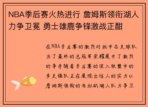 NBA季后赛火热进行 詹姆斯领衔湖人力争卫冕 勇士雄鹿争锋激战正酣