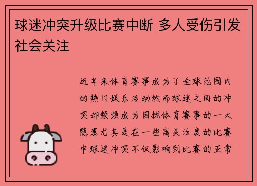 球迷冲突升级比赛中断 多人受伤引发社会关注